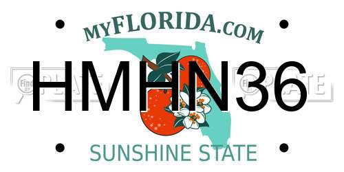 HMHN36 Florida License Plate