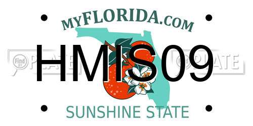 HMIS09 Florida License Plate