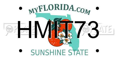 HMIT73 Florida License Plate