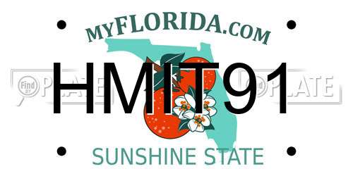 HMIT91 Florida License Plate