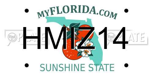 HMIZ14 Florida License Plate