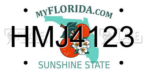 HMJ4123 Florida License Plate