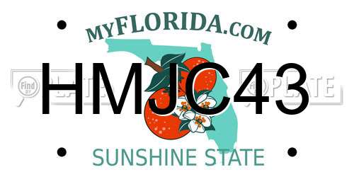 HMJC43 Florida License Plate