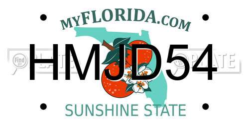 HMJD54 Florida License Plate