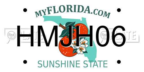 HMJH06 Florida License Plate