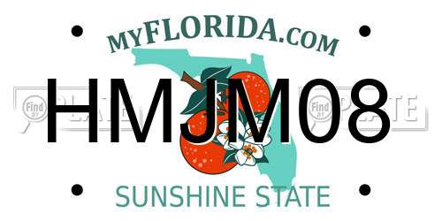 HMJM08 Florida License Plate