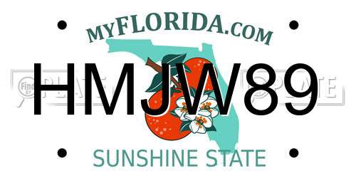 HMJW89 Florida License Plate