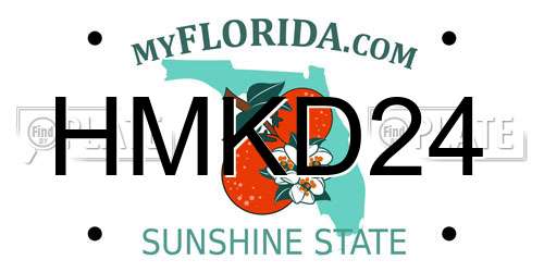 HMKD24 Florida License Plate