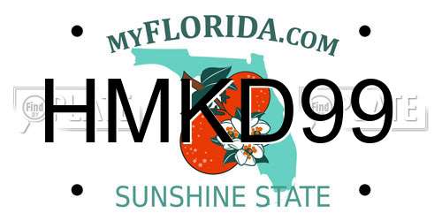 HMKD99 Florida License Plate
