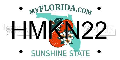 HMKN22 Florida License Plate
