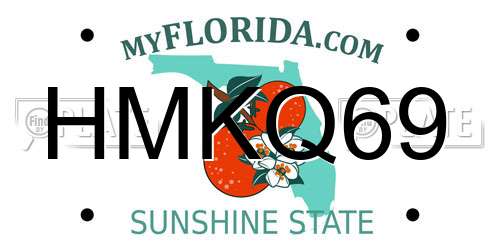 HMKQ69 Florida License Plate