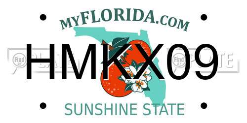 HMKX09 Florida License Plate