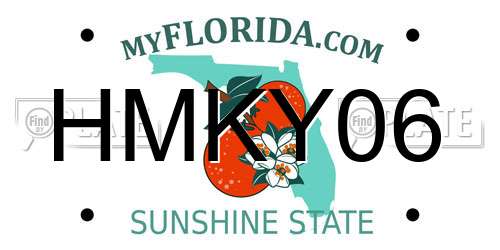 HMKY06 Florida License Plate
