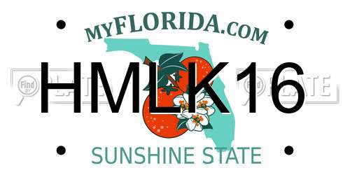 HMLK16 Florida License Plate