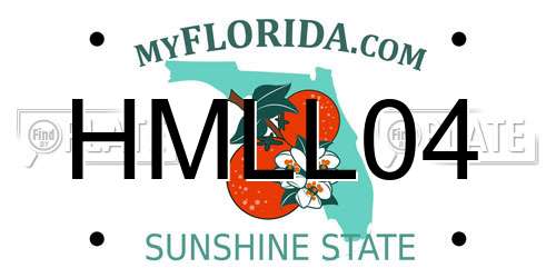HMLL04 Florida License Plate