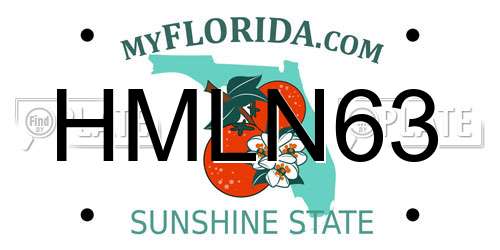 HMLN63 Florida License Plate