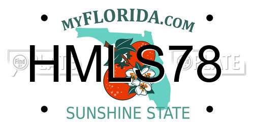 HMLS78 Florida License Plate