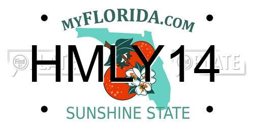 HMLY14 Florida License Plate
