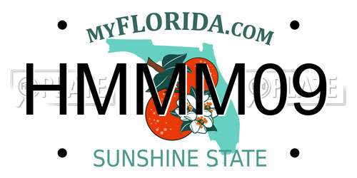 HMMM09 Florida License Plate