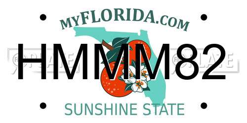 HMMM82 Florida License Plate