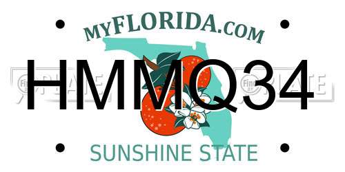 HMMQ34 Florida License Plate