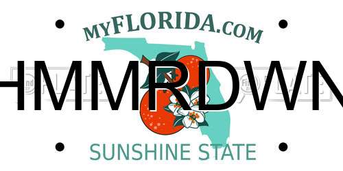 HMMRDWN Florida License Plate