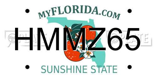 HMMZ65 Florida License Plate