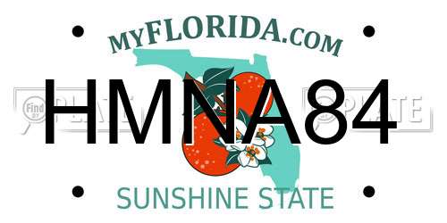 HMNA84 Florida License Plate