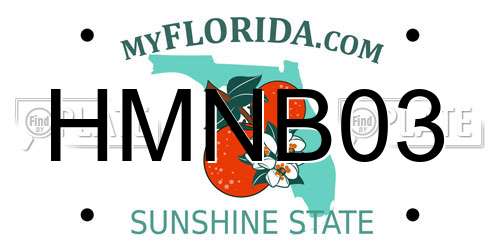 HMNB03 Florida License Plate