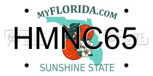 HMNC65 Florida License Plate