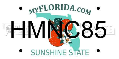 HMNC85 Florida License Plate