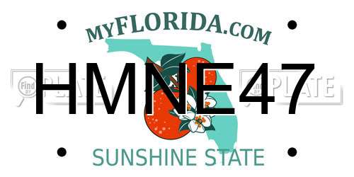 HMNE47 Florida License Plate