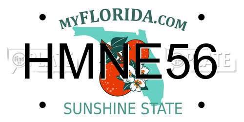 HMNE56 Florida License Plate