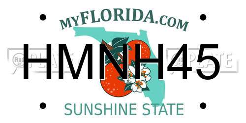 HMNH45 Florida License Plate