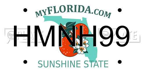HMNH99 Florida License Plate