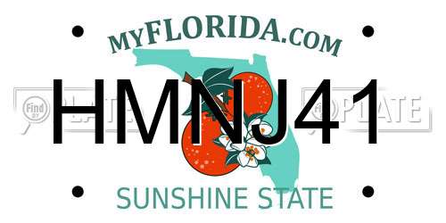 HMNJ41 Florida License Plate