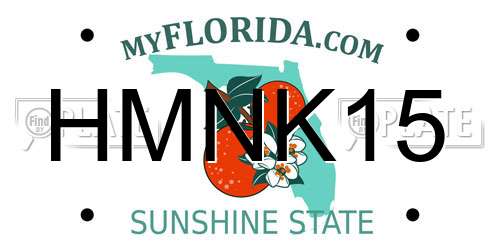 HMNK15 Florida License Plate