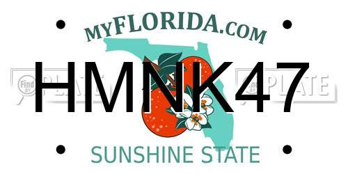 HMNK47 Florida License Plate