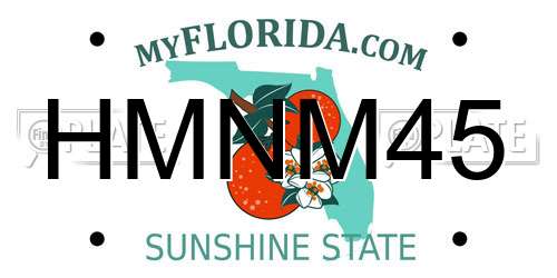 HMNM45 Florida License Plate