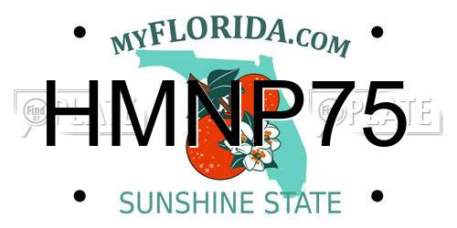 HMNP75 Florida License Plate
