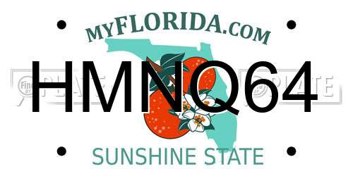 HMNQ64 Florida License Plate