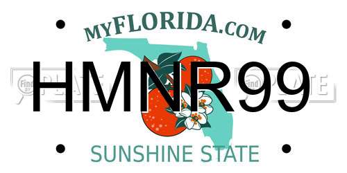 HMNR99 Florida License Plate