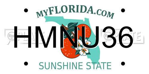 HMNU36 Florida License Plate