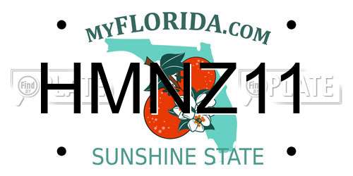 HMNZ11 Florida License Plate