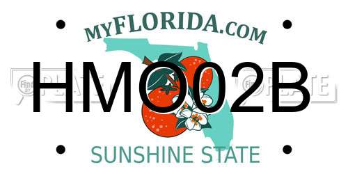 HMO02B Florida License Plate