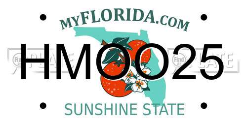 HMOO25 Florida License Plate