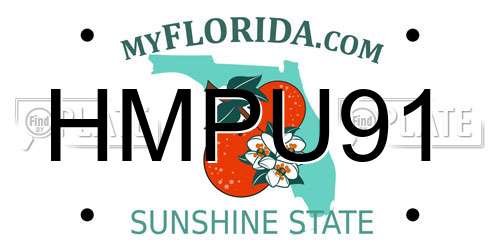 HMPU91 Florida License Plate