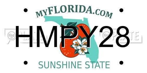 HMPY28 Florida License Plate
