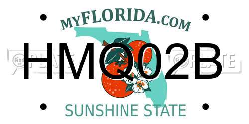 HMQ02B Florida License Plate