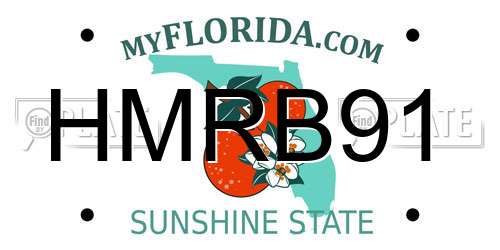HMRB91 Florida License Plate